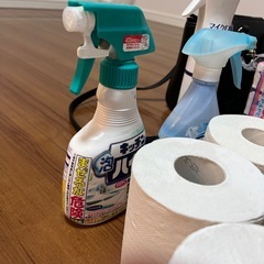 圧縮袋、トイレットペーパー、ティッシュ、カバン、布、消臭剤、キッチンハイター、ポリ袋、ゴミ袋、ポストカード、メモ用紙、音楽スコアシートの画像