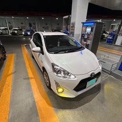 アクアの画像