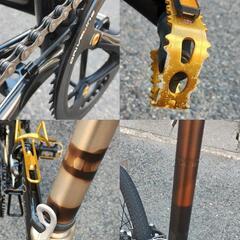 折りたたみ自転車 20インチ キャデラック ダホン  OEMの画像