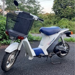 スズキ　スーパーモレ　の画像