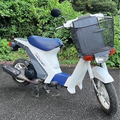 スズキ　スーパーモレ　の画像