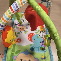 ベビージム　おもちゃ　知育玩具の画像