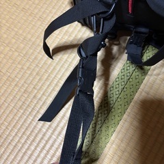 シートバック【受け渡し相談中】の画像