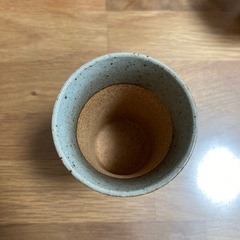 美濃焼 ビアカップ　湯呑み 5個セット コップ　ビールグラス　日本製の画像