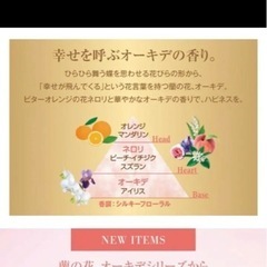 限定品 ♡ ロクシタン ネロリオーキデ ボディ＆ハンドの画像