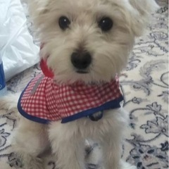 急募現在入院闘病中の方その他の方も友達になって