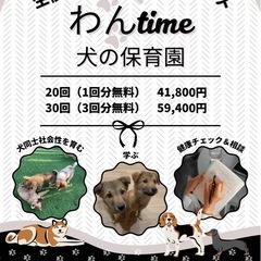\　犬の保育園パピーコースできました　/ 