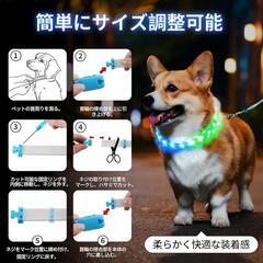 ペット 首輪 光るの画像