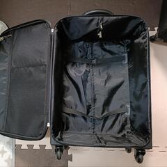 【早いもの勝ち】キャリングケース2個の画像