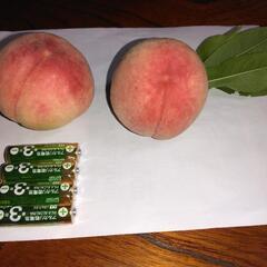 桃🍑二個入り　350円～の画像