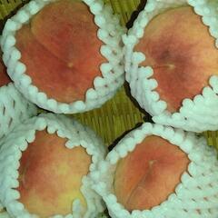 桃🍑二個入り　350円～の画像