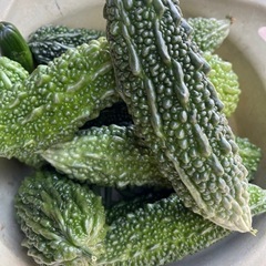募集中‼️採りたて☀️夏野菜セットの画像