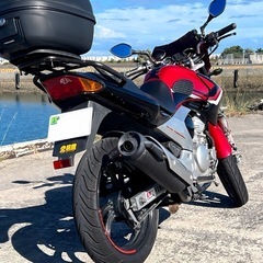 YAMAHA YBR250　自賠責たっぷりの画像
