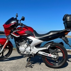 YAMAHA YBR250　自賠責たっぷりの画像