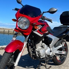 YAMAHA YBR250　自賠責たっぷりの画像