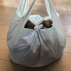 じゃがいも🥔の画像