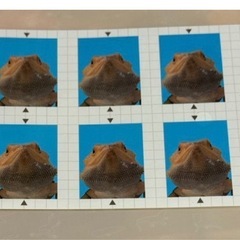 爬虫類くじの証明写真シール探してます