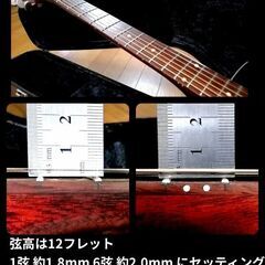 ★トップ単板★Aria Dreadnought AF-25の画像