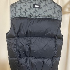LRG ダウンベスト 2XL の画像