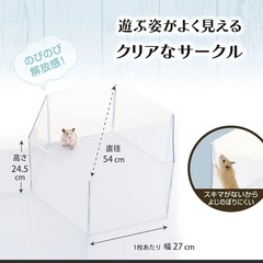 美品！ハムスター　クリアサークルの画像