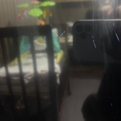 テレビの画像