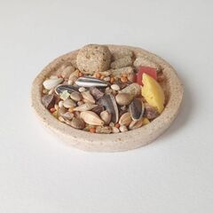 未使用新品！ハムスターの餌入れ　ふちの浅い陶器のお皿（丸型豆皿大）の画像