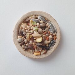 未使用新品！ハムスターの餌入れ　ふちの浅い陶器のお皿（丸型豆皿小）の画像