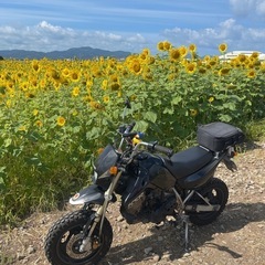 KSR110の画像