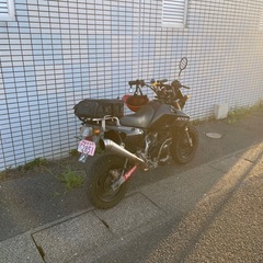 KSR110の画像