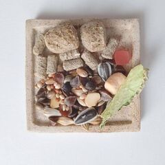未使用新品！ハムスターの餌入れ　ふちの浅い陶器のお皿（スクエア型豆皿大）の画像