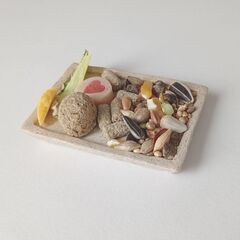 未使用新品！ハムスターの餌入れ　ふちの浅い陶器のお皿（長方形型豆皿）の画像