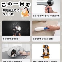 ドライハウス❣️犬用 猫用 62L 大容量 ドライヤー ペット 静音 照明付きの画像