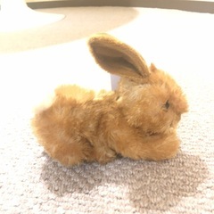 うさぎ　ぬいぐるみの画像