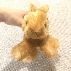 うさぎ　ぬいぐるみの画像