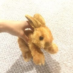 うさぎ　ぬいぐるみの画像