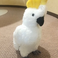 オウム　鳥　バード　ぬいぐるみの画像