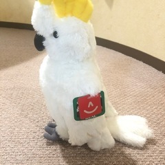 オウム　鳥　バード　ぬいぐるみの画像