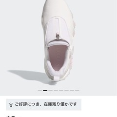 ゴルフバックセット、ゴルフシューズの画像