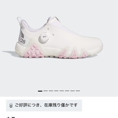 ゴルフバックセット、ゴルフシューズの画像