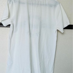 レディース　Tシャツの画像