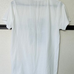 レディース　Tシャツの画像