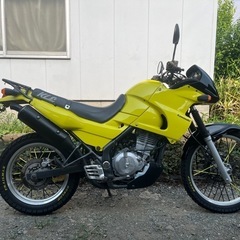 KLE250 カワサキの画像