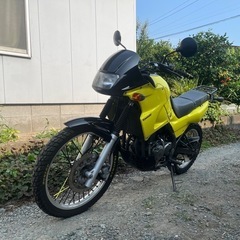 KLE250 カワサキの画像