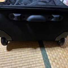 キャリー？の画像