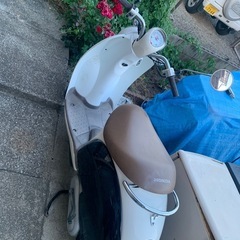 Hondaクレアスクーピーの画像