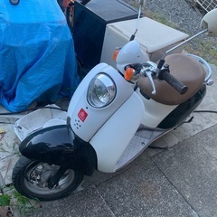 Hondaクレアスクーピーの画像