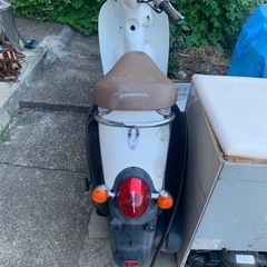 Hondaクレアスクーピーの画像