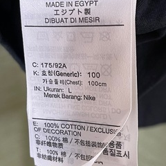 Nike ナイキグラフィックプリント Tシャツ Lサイズの画像