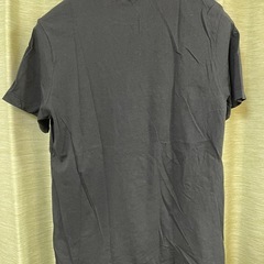 Nike ナイキグラフィックプリント Tシャツ Lサイズの画像
