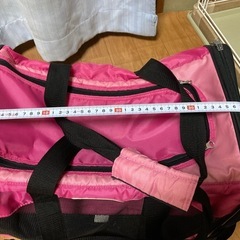 OUTDOOR PRODUCTS ペットキャリーの画像